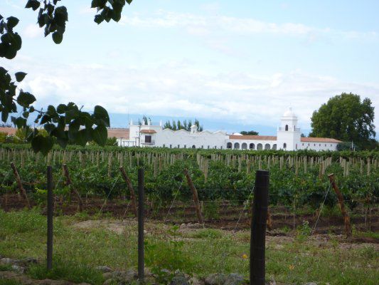 Traumhafte Weingüter, Bodegas.