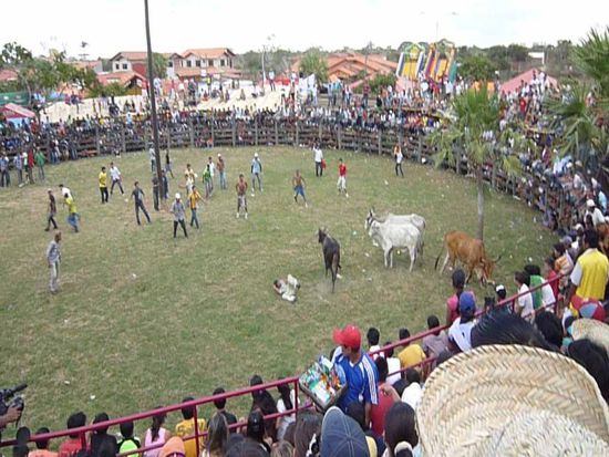Die Rodeoarena,....