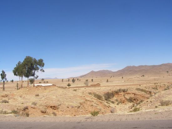 Altiplano, die Ebene umgeben von Berge, die dann alle mindesten 4000 m hoch sind.