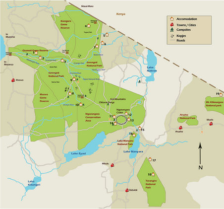 Serengeti mit Ngorongoro