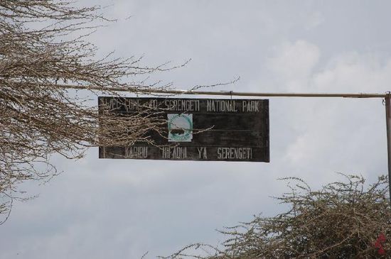 Serengeti Nationalpark