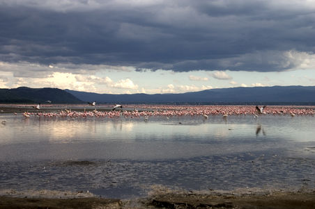 Lake Nakuru unter Regenwolken