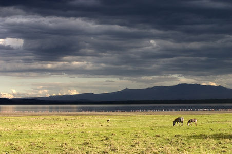 Lake Nakuru nach den Regenwolken