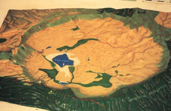 Der Ngorongoro mit etwa 20 km Durchmesser.
Hier lebt die größte konzentration wilder Tiere in der Welt
