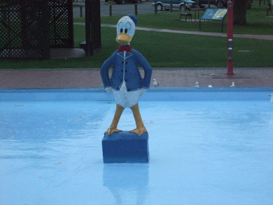 Donald war auf dem Spielplatz in Picton!