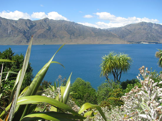 Die Südinsel ist echt ein Stück Paradies.