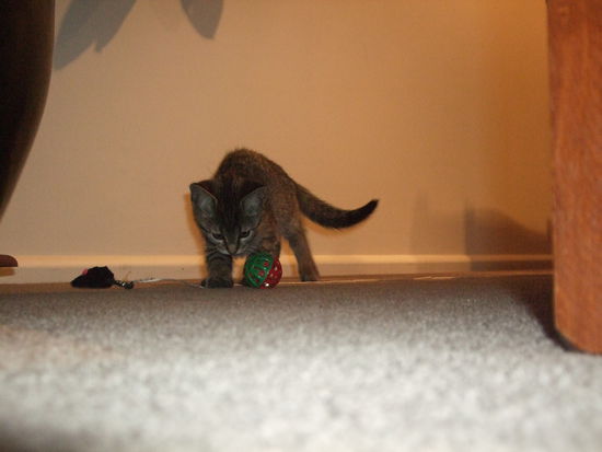 Er hat ganz viele Spielsachen.