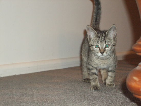 Und neugierig ist er!