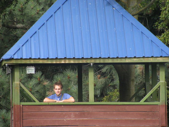 Robin auf dem blauen Turm!