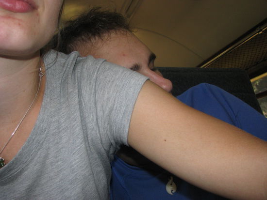 Robin schläft schon wieder!!