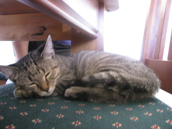 Am schlafen war Charlie natürlich auch dauernd.