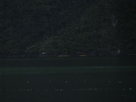 Kayaken ist bestimmt auch super schön hier im Milford Sound.