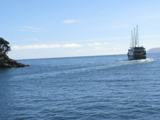 Hier mündet der Milford Sound ins Meer.