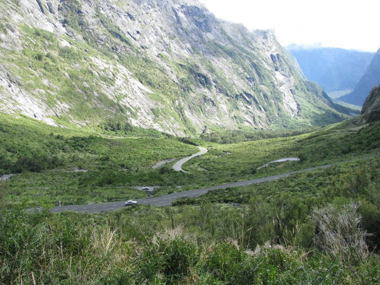 Die Straße, die zum Milford sound hin- und wieder weg führt.