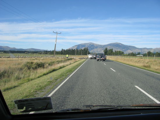 Zum krönenden Abschluss sind dann noch 1000 Schafe auf dem Rückweg die Straßenseite gewechselt.