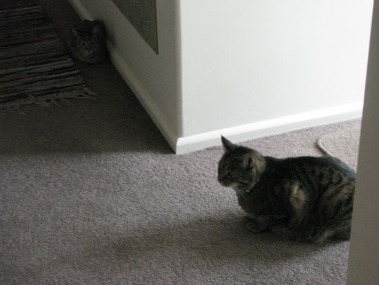 George kam auch ab und an rein, floh aber meistens wieder sofort vor Charlie, da er den jungen Charlie nicht mochte.