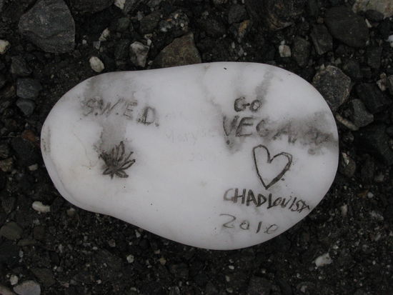 So sahen die Steine aus.