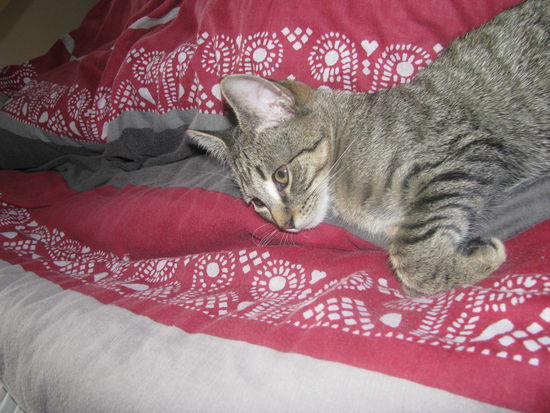 Jaja, unser Charlie.