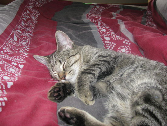 Fotos machen ist anstrengend. Erstmal ausruhen.