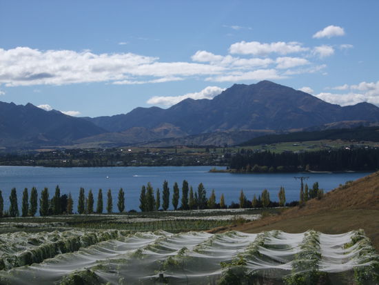 Auf der anderen Seite sieht man die Stadt Wanaka.