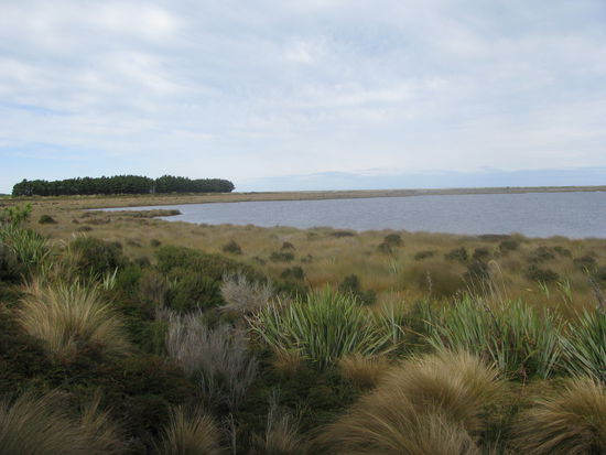 Die Awarua Wet Lands.