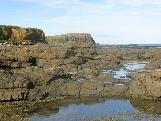 Das war alles mal Wald.