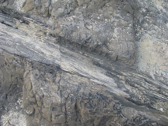 Dort erkennt man sogar noch einen Baumstamm.