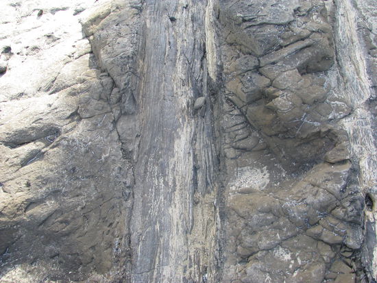 Man muss es echt mit eigenen Augen gesehen und mit eigenen Händen gefühlt haben um es zu glauben!