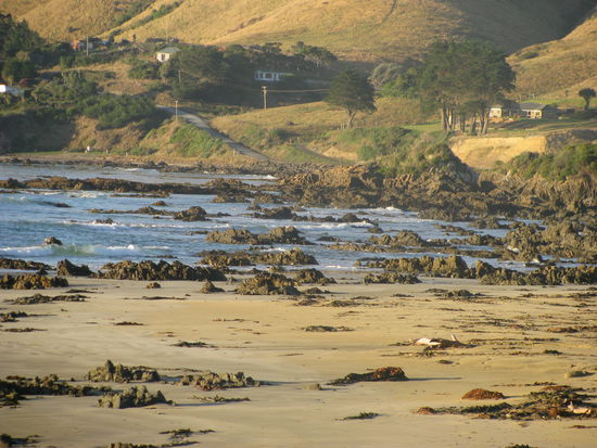 Leider konnte die Kamera das goldene Glitzern nicht richtig aufnehmen.