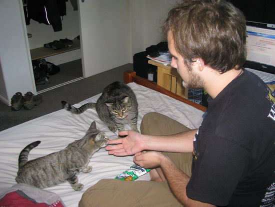 Wenn es ums Essen ging, waren beide Katzen die besten Freunde.