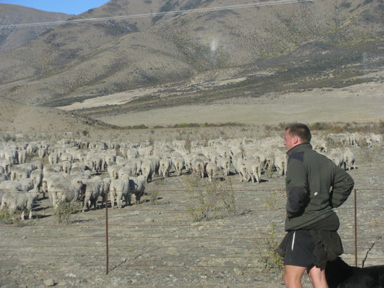 Und wir konnten vorbeifahren, nach etwa 15 Minuten.
