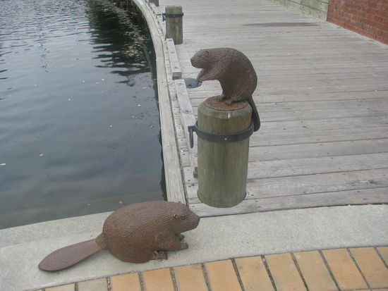 Die Biber von Blenheim.