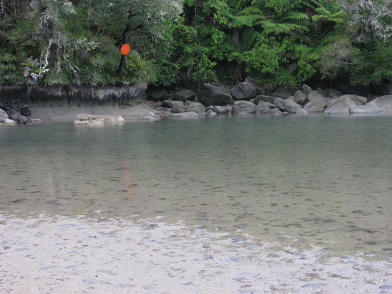 Kurz vorm Ziel dann doch zu viel Wasser.
