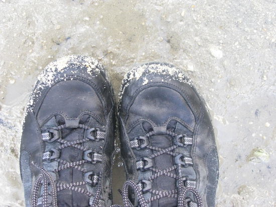 Die Schuhe waren schon nass, aber das Wasser vor uns zu tief.