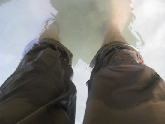 Robin war auch ziemlich nass.