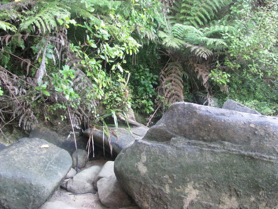 Wo ist nun der Track?