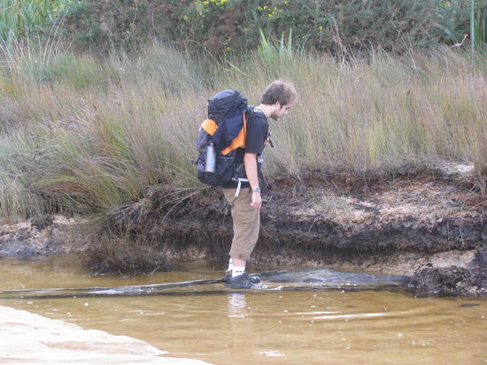 Bei der zweiten Gezeitenüberquerung fand Robin diesen alten Baumstamm.