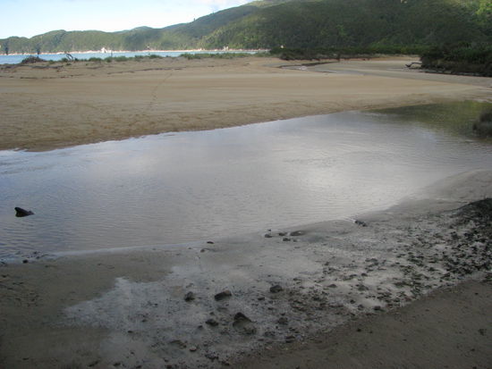 Das hatten wir dadurch auch einfach hinter uns gebracht.