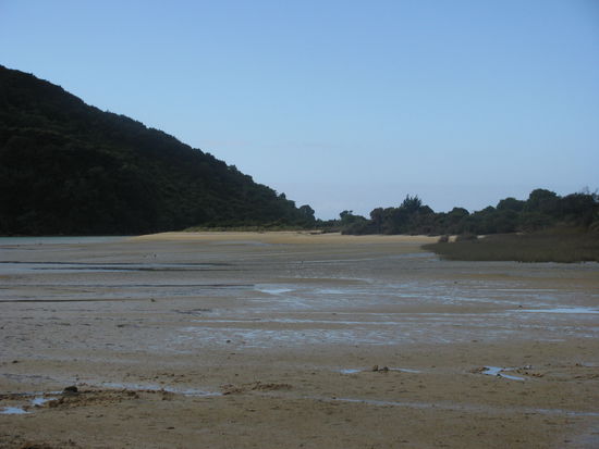Und plötzlich war das Wasser weg.