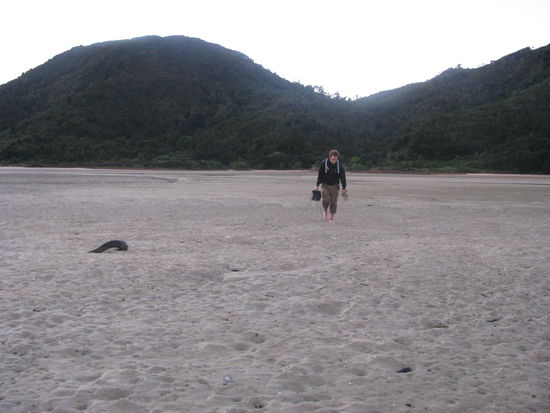 Barfuß über Muscheln.