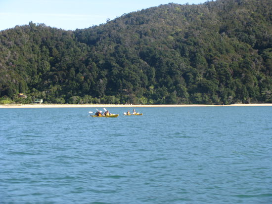 Kayaker, die an der Küste entlang paddelten.