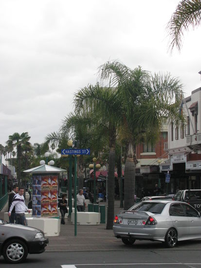 Palmen in der Innenstadt.