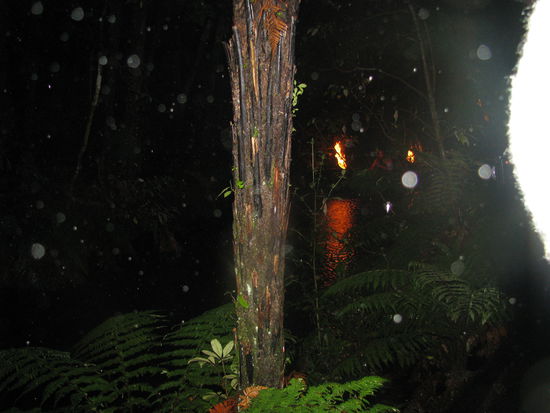 Dort kommt das Kriegskanu.