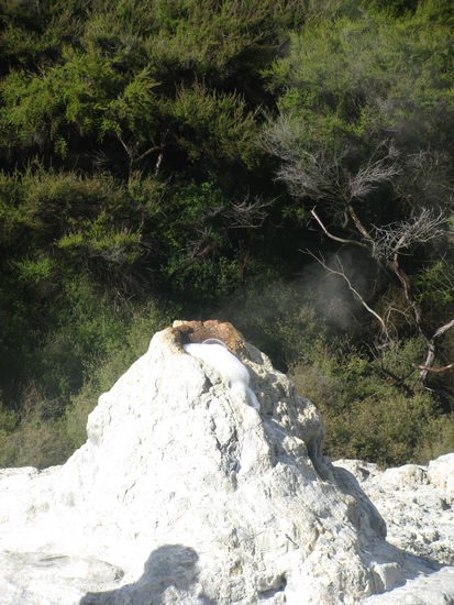 Langsam fing es an zu blubbern...