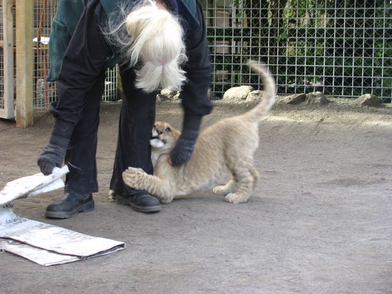 Das ist seine Pflegerin.