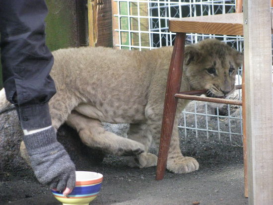 Die ganze Welt ist ein riesiges Spielzeug.