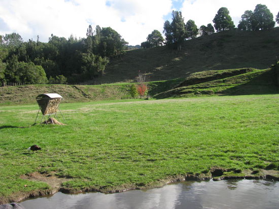 Dies gehoerte dem AC/DC Drummer.