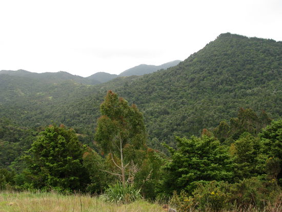 Die Ausmaße von Mara Whenua...