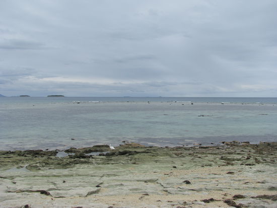Bei Ebbe standen die ganzen Korallen aus dem Meer raus.