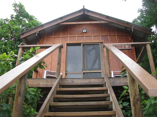 Wir hatten die Jungle Bure 3. Hübsch, nicht?